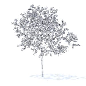 Peach Tree with Flowers 3D Model