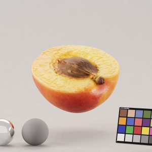 apricot-half-sliced-photoscan-3d-model-b3f1f24f72