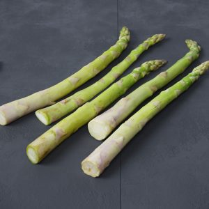 asparagus-3d-model-c72014fd4d