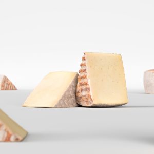 cheese-001-3d-model-cda94dfab9
