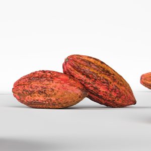 cocoa-pod-002-3d-model-58d9affb14