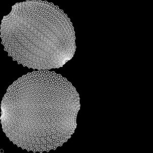 durian-3d-model-ma-mel