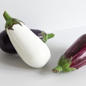 Eggplant 002