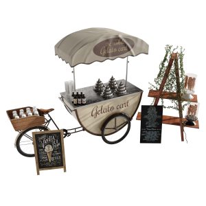 Ice cream bicycle 3