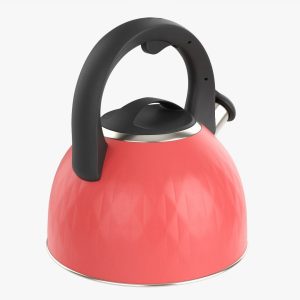 kettle-with-whistle-02-3d-model-max-obj-fbx