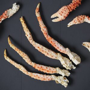 king-crab-legs-and-claws-3d-model-e3389b5659