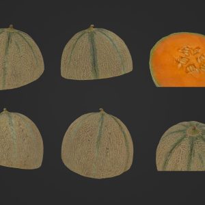 melon-half-1-3d-scan-3d-model-obj