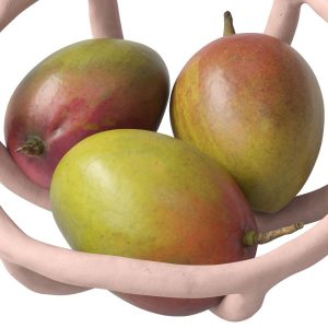 nested-bowl-with-mango-3d-model-012a3507b5