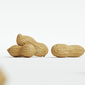 Peanut 002
