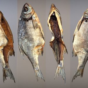 Photorealistic 3Dscan of dried open fish