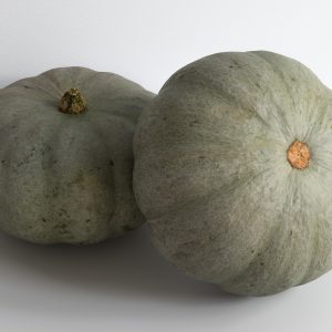 Pumpkin 005