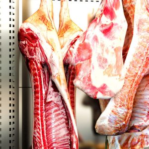 refrigerator-animal-carcasses-3d-model-max-obj-mtl