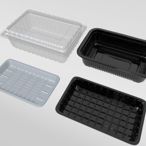 Transparent Plastic Food Container