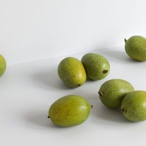 Walnut 012