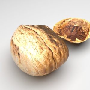 Walnut