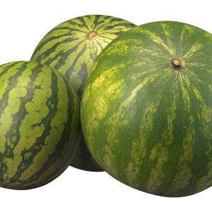 watermelon