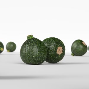 zucchino-001-3d-model-max-obj-3ds-fbx-c4d-lwo