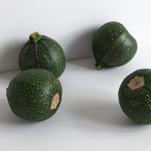 Zucchino 001